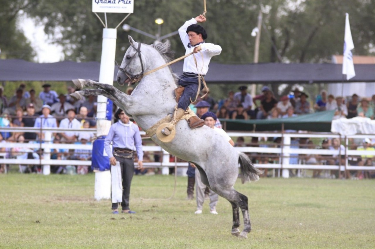 Comenzó la venta de entradas por día para el Festival Nacional de Doma y Folclore de Olavarría