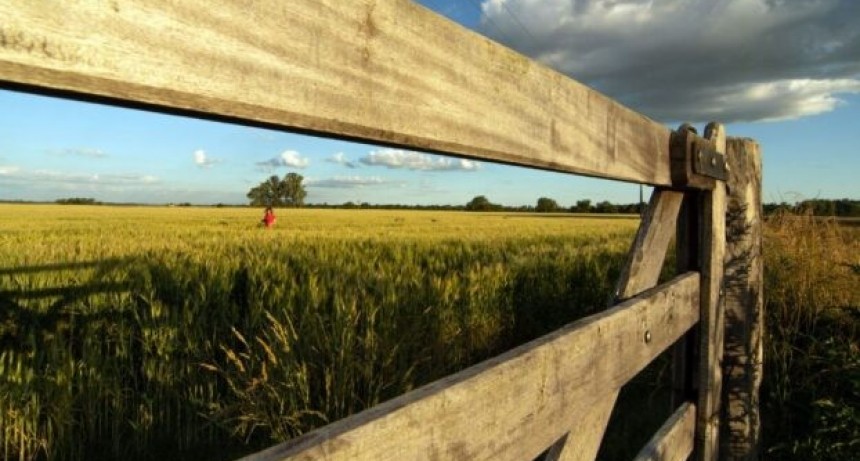 Eximen del Inmobiliario Rural a productores de seis municipios