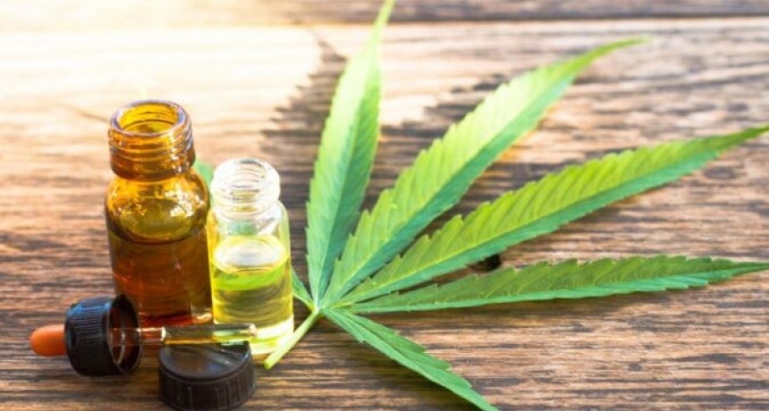 Cannabis: dar de baja el Reprocann “es un retroceso bestial”