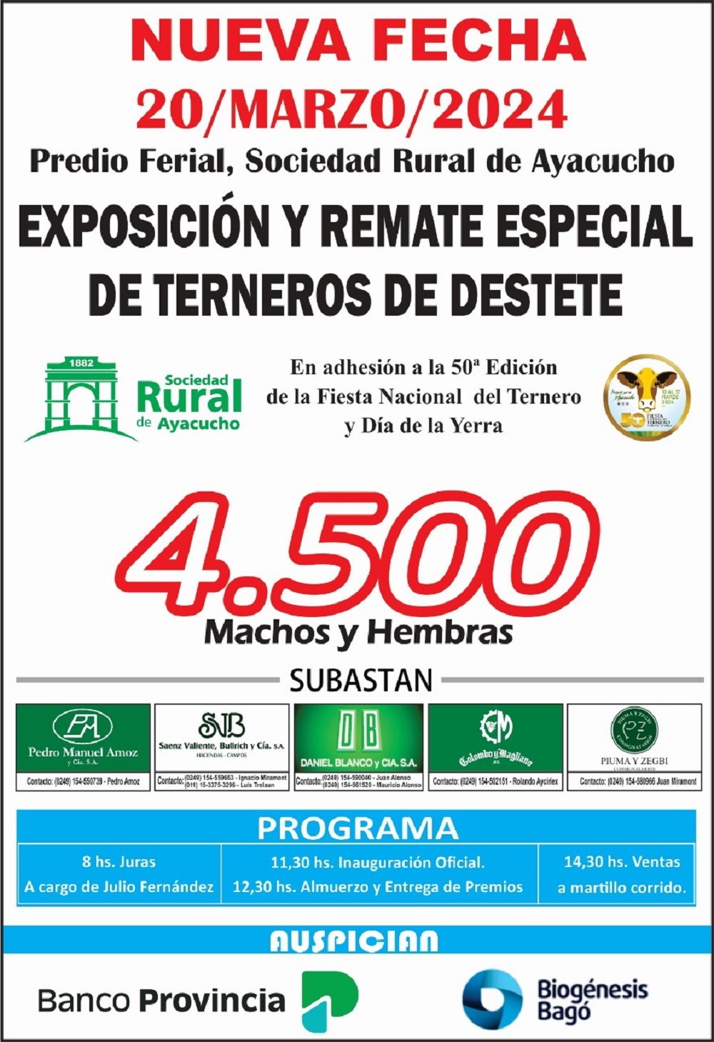 Remate Especial de Terneros de Destete en Ayacucho