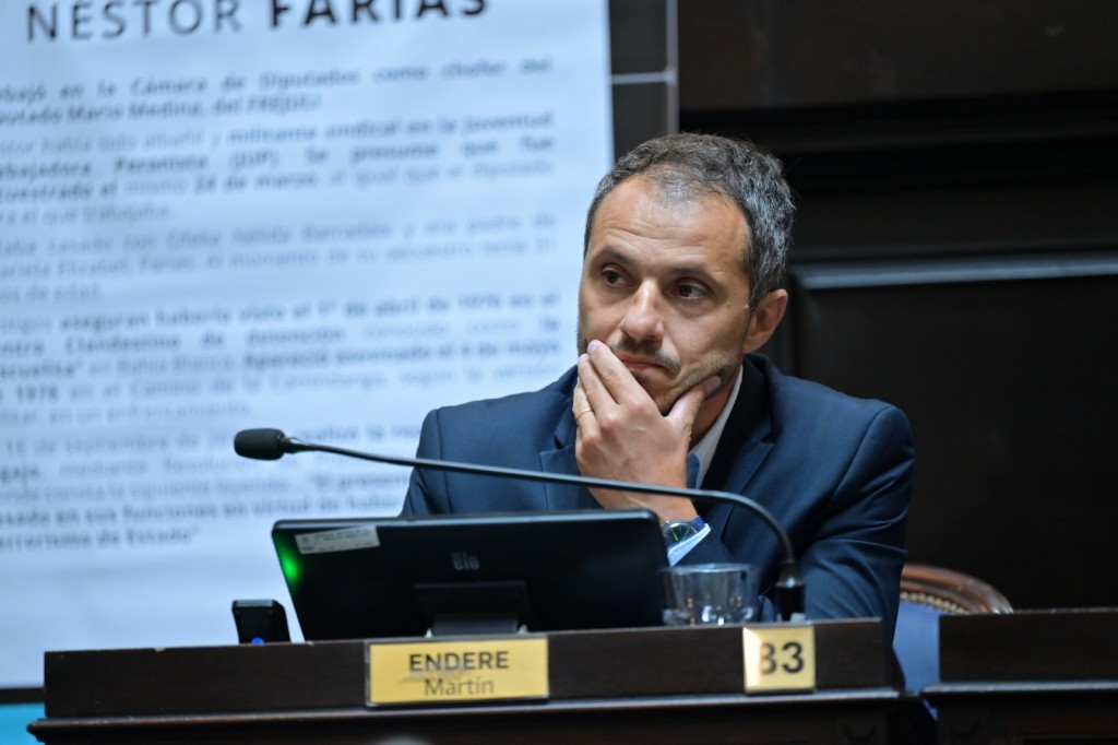 Endere: 'La Cámpora se niega a suspender las PASO'