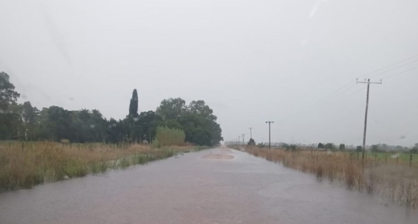 El temporal causó daños en el sistema eléctrico rural