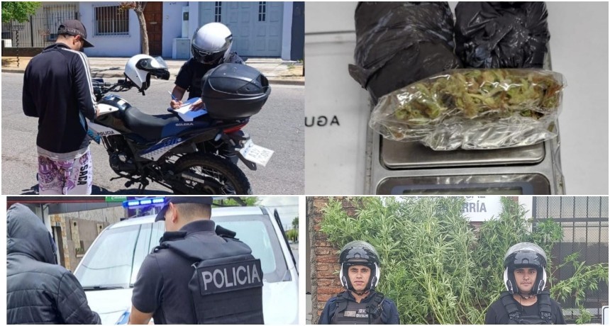 Secuestraron marihuana y hubo varios aprehendidos en distintos operativos 