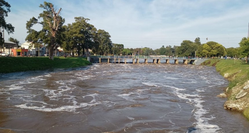 El arroyo Tapalqué luce cargado en la mañana del viernes