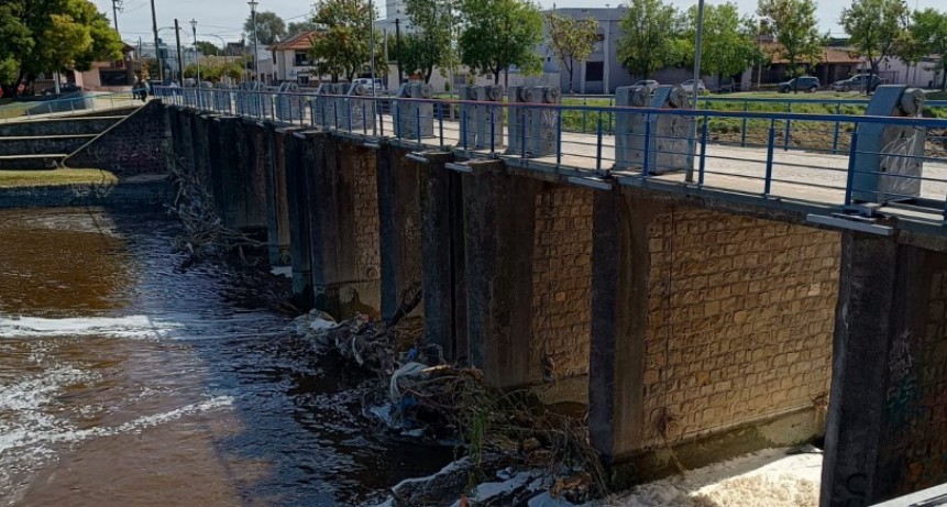 Continúan los trabajos de limpieza en sectores de la costa del arroyo