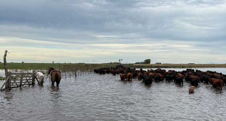 ‘En 12 días llovió casi la mitad de lo que llueve en el año’