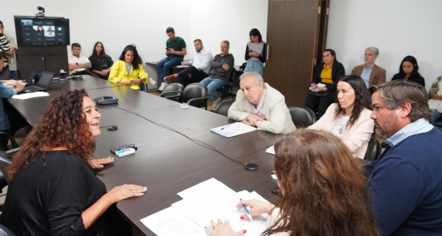La Legislatura inició el debate sobre la suspensión de las PASO