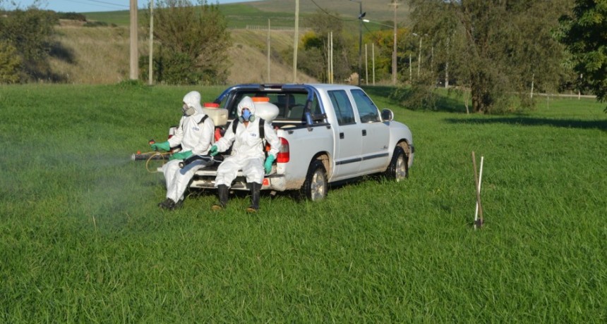 Fumigan espacios públicos en Olavarría