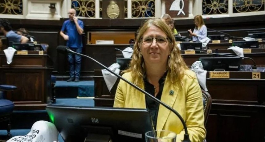 Elecciones Primarias: ‘La oposición hace una lectura oportunista de determinadas cuestiones’
