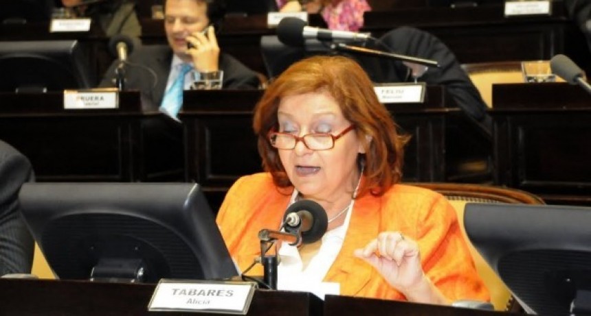 “En 2003, la ley de deudores alimentarios casi no pasó porque eran mayoría hombres”