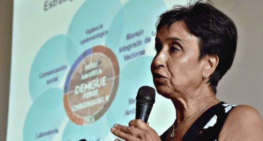 Salta y Misiones están vacunando contra el dengue
