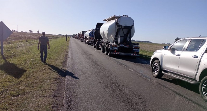 Volcó en la ruta 226 un camión que transportaba vacunos 