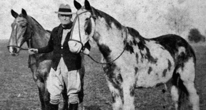 Gato y Mancha: la historia de los caballos que cruzaron el continente