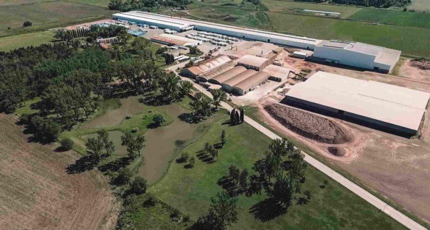 Otra fábrica de cerámicos bonaerenses va a reducir personal