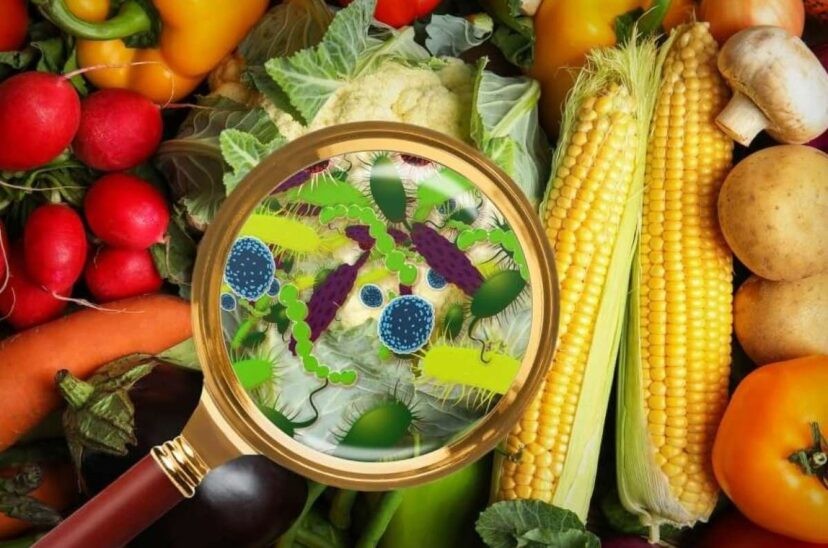 Pautas para evitar contaminación alimentaria