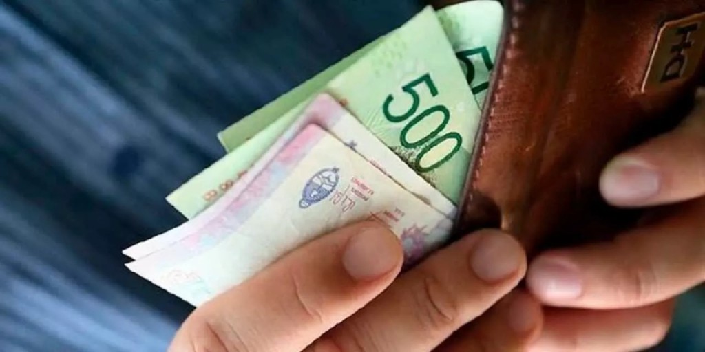 Aseguran que el poder adquisitivo del salario mínimo cayó 32% real en el gobierno de Milei