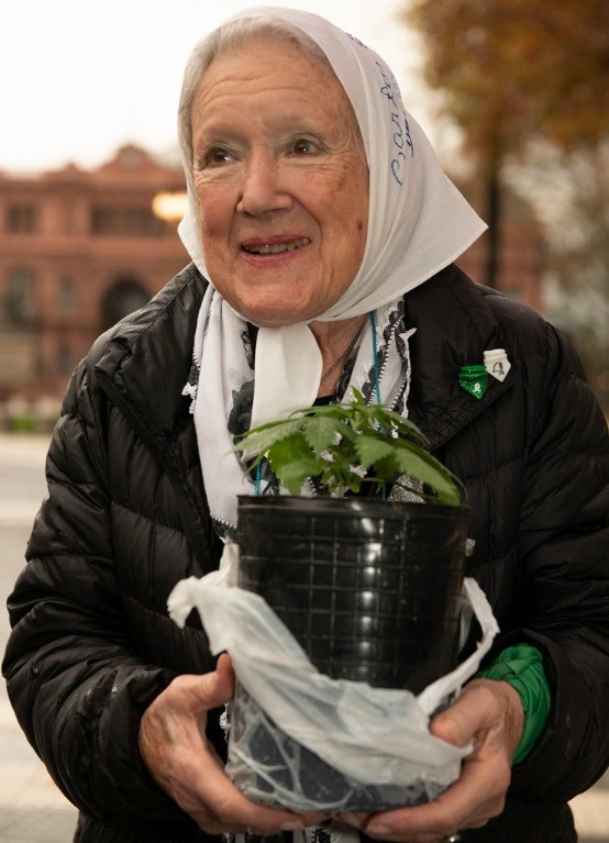 'Nora Cortiñas, la madre de todas las batallas'