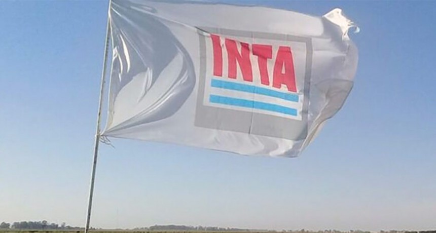 El INTA en pie de lucha