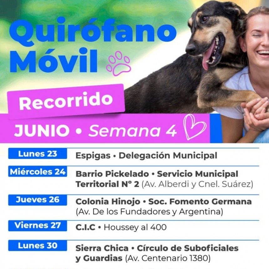 Cronograma del quirófano veterinario móvil