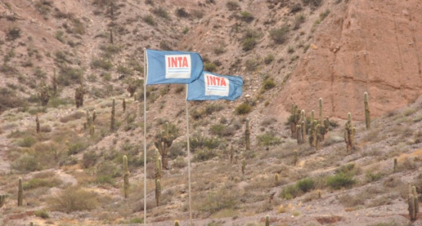 El Gobierno hizo cambios en el INTI, el INTA y disolvió otros organismos