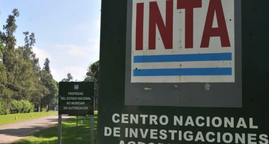 INTA: ‘No sabemos si van cambiar los territorios y la reorganización’ 