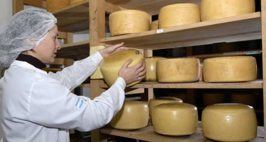 El queso de Tandil fue elegido el mejor del país