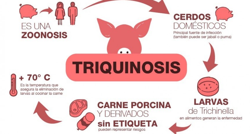 Más brotes de Triquinosis en la Provincia