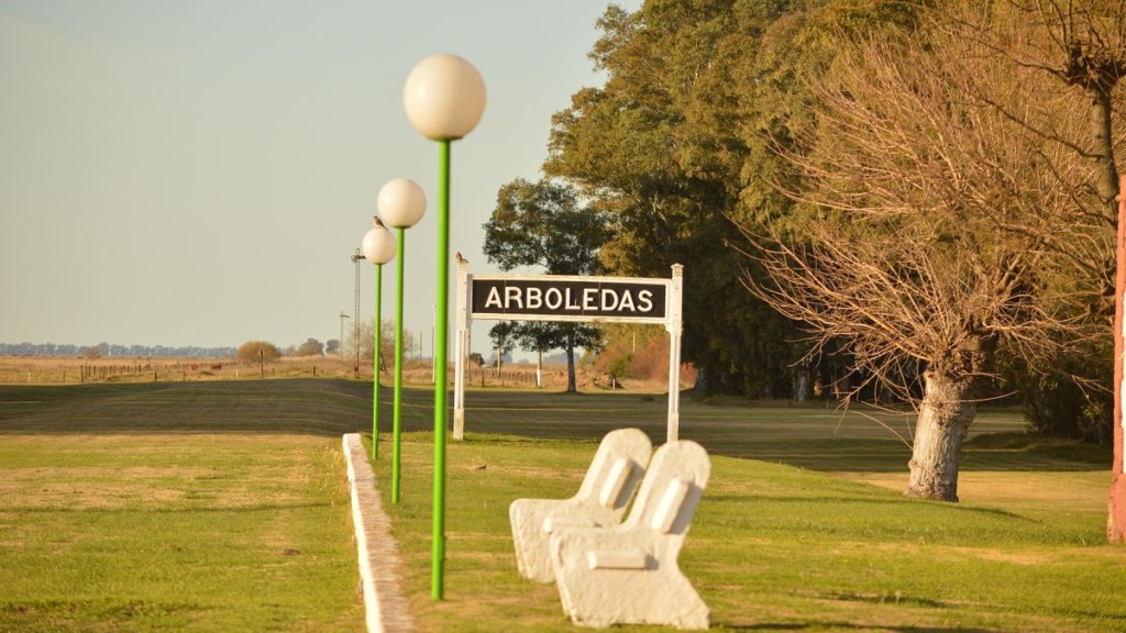  Arboledas: El verde como característica 