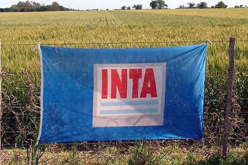 “Con la intervención del Gobierno, el INTA pierde el presupuesto propio”