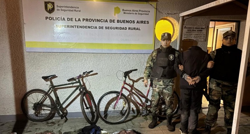 Otro abigeato: un aprehendido y dos prófugos