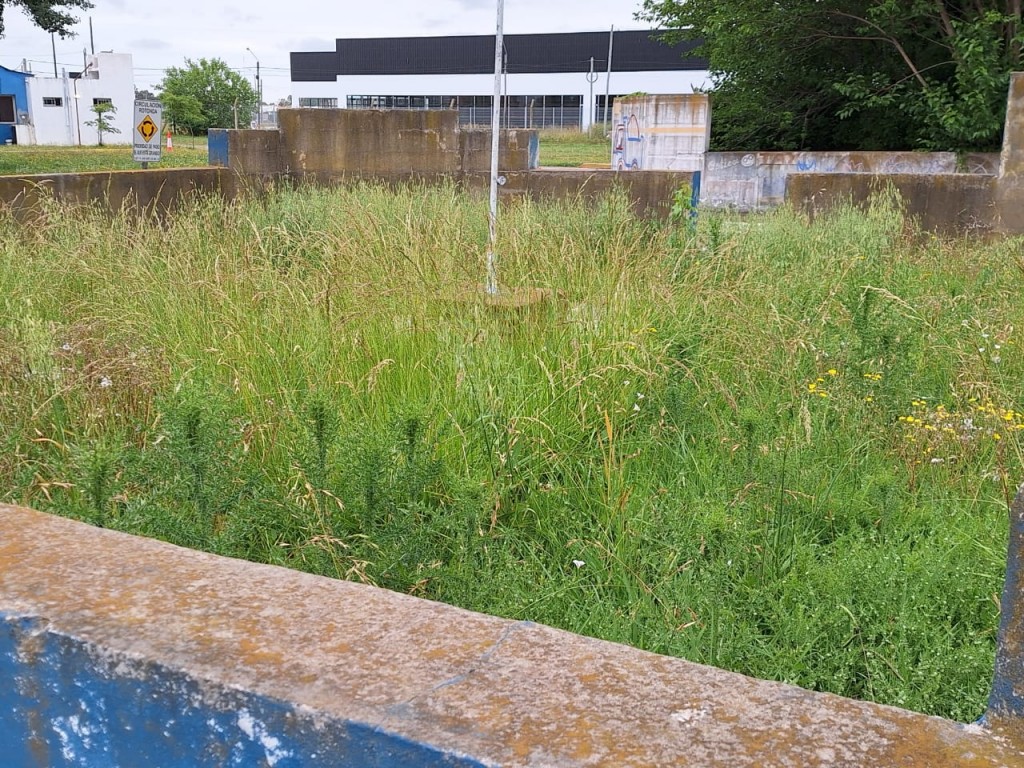 Municipales denuncian ‘estado de abandono’ en el predio donde se realizan las pruebas de conducir